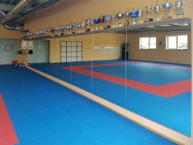 Sicherheitsspiegel im DOJO Sicherheitsspiegel im DOJO